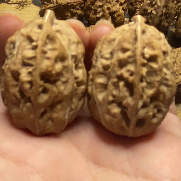 吊坠文玩核桃存钱罐