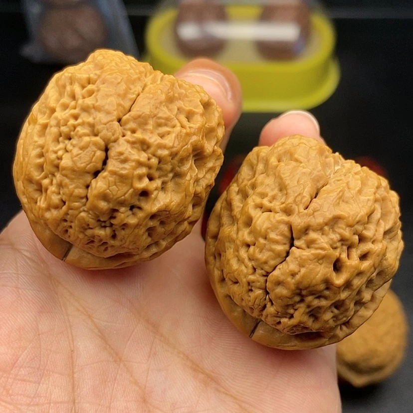 【闪购商品】把件文玩核桃40尺老蟾头