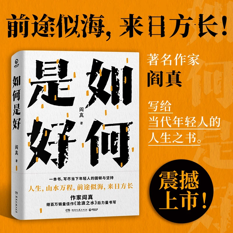 如何是好 阎真著 写给当代年轻人的人生之书