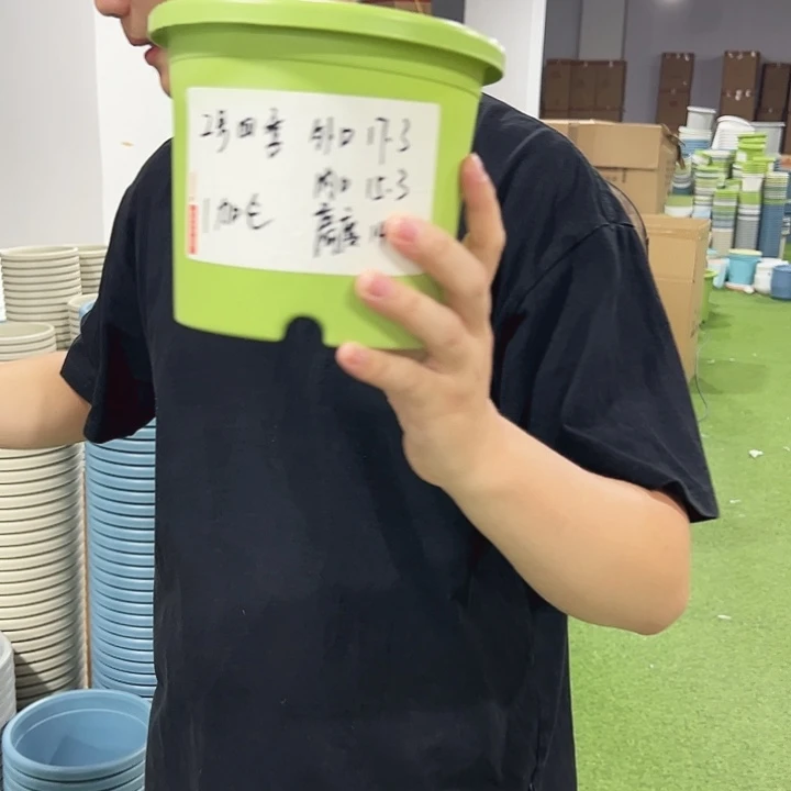 特价2号口17高15果绿色10只无托