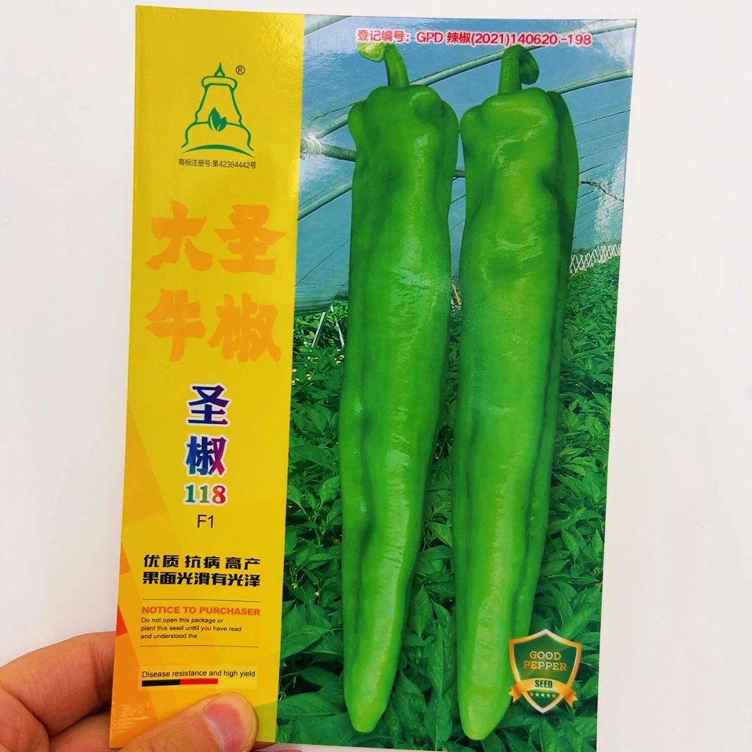 F1大圣牛椒牛角椒种子