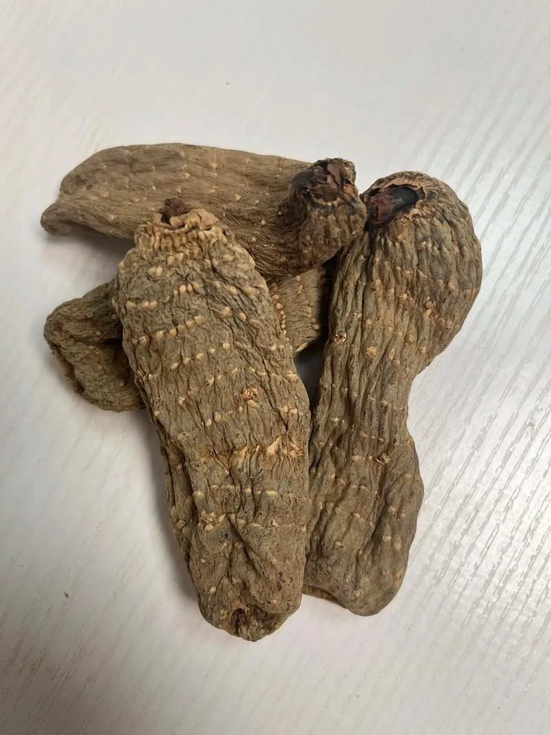 云南深山林下【乌天麻】干货煲汤炖鸡炖肉配三七