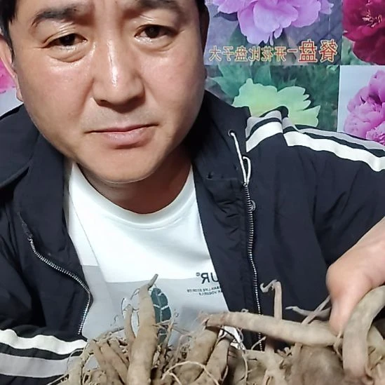 境***愿当前无花栽培后可以开花