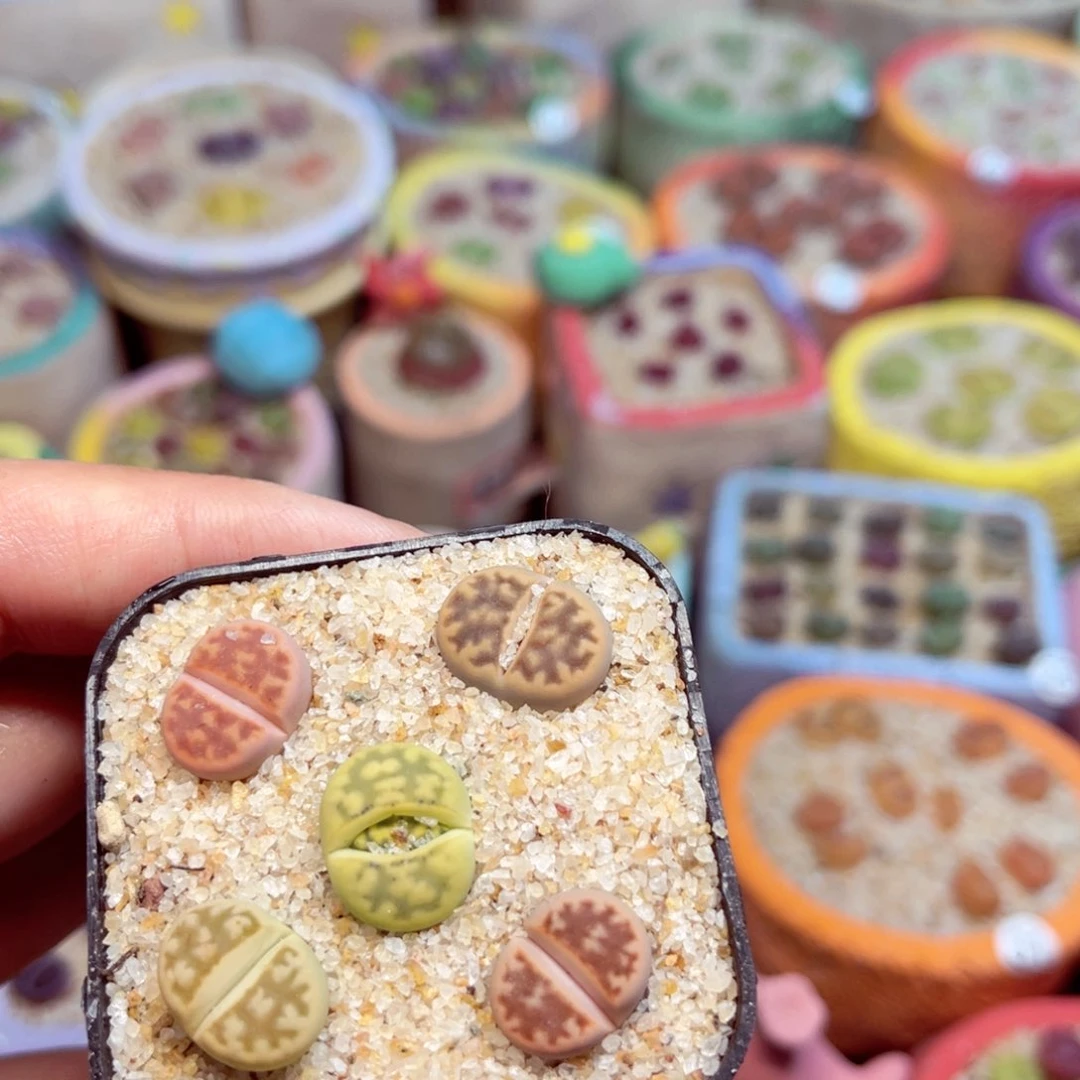 135. 66788666787578656