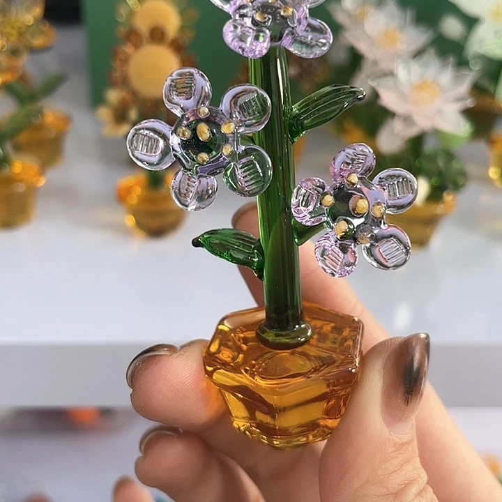 茶宠?****6我也不知道我为什么要这样