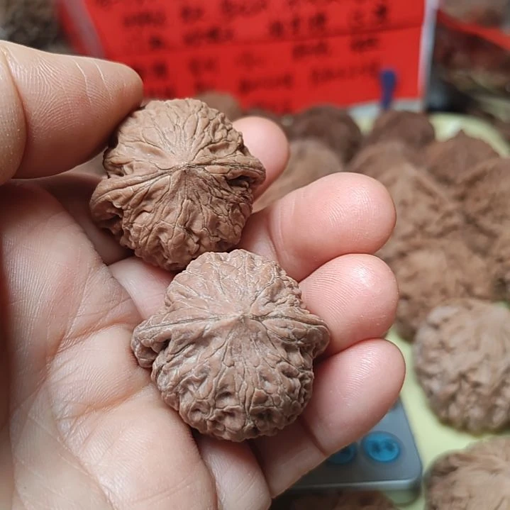 文玩核桃把件32的全品铁锤妹妹