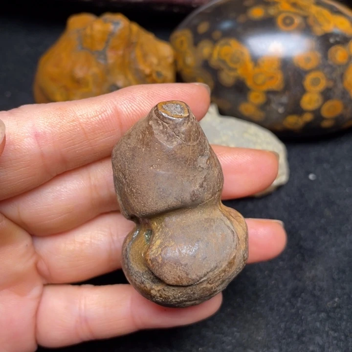石材九眼页岩钱币石原石103