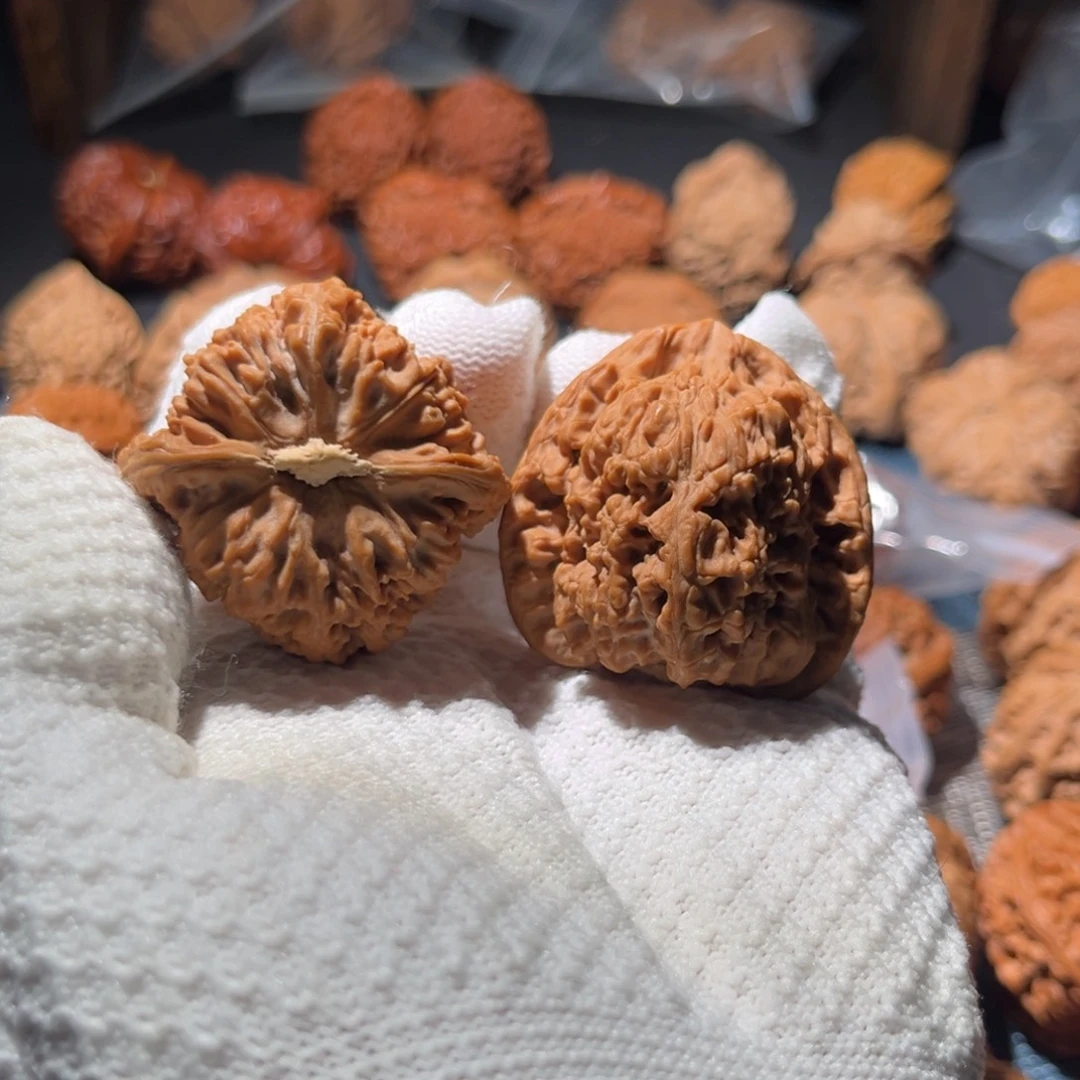 核桃43全品木塞底南疆石