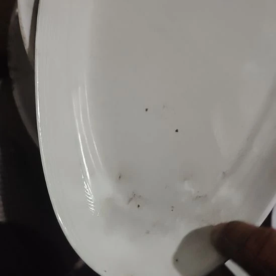 瓷鱼盘长38………………