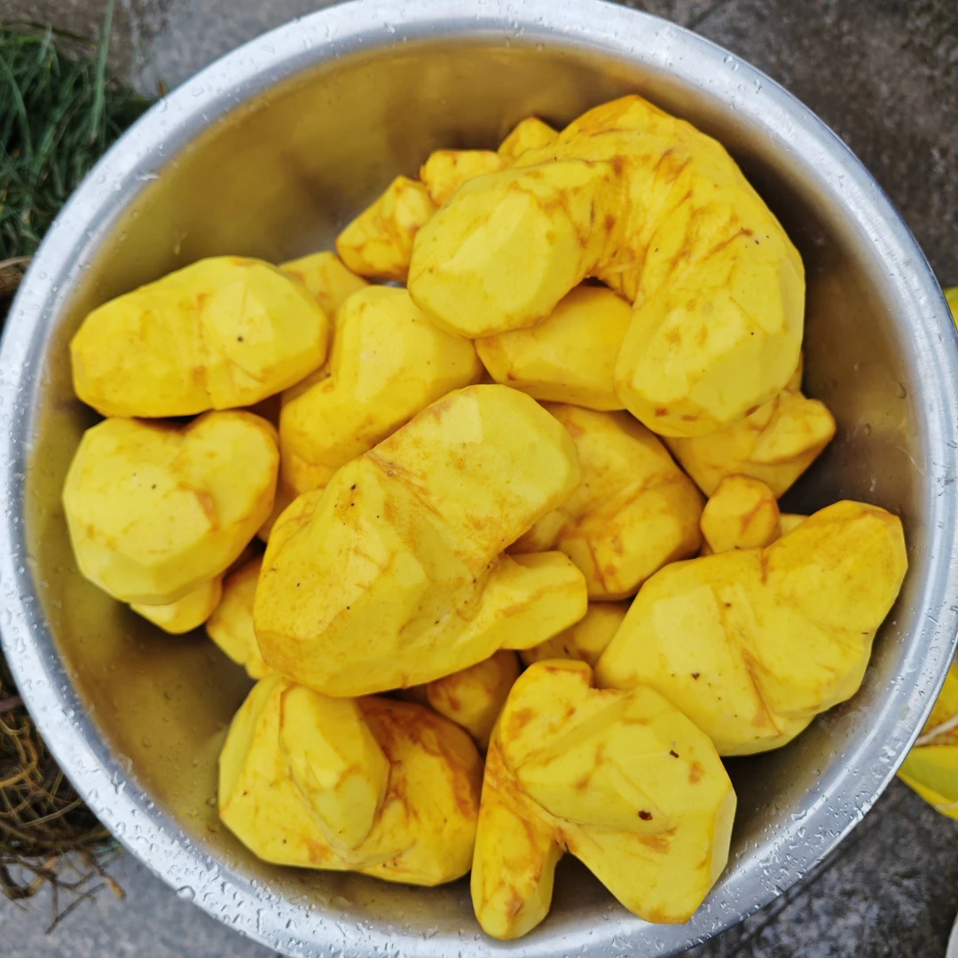 【寿宁本地传统种植黄独】