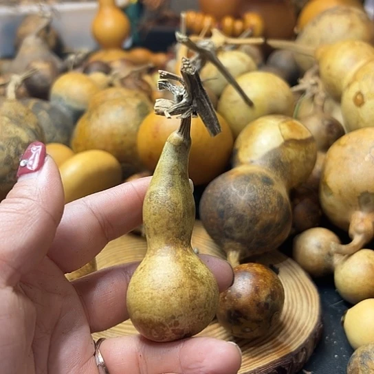 尼*丁葫芦葫芦葫芦葫芦