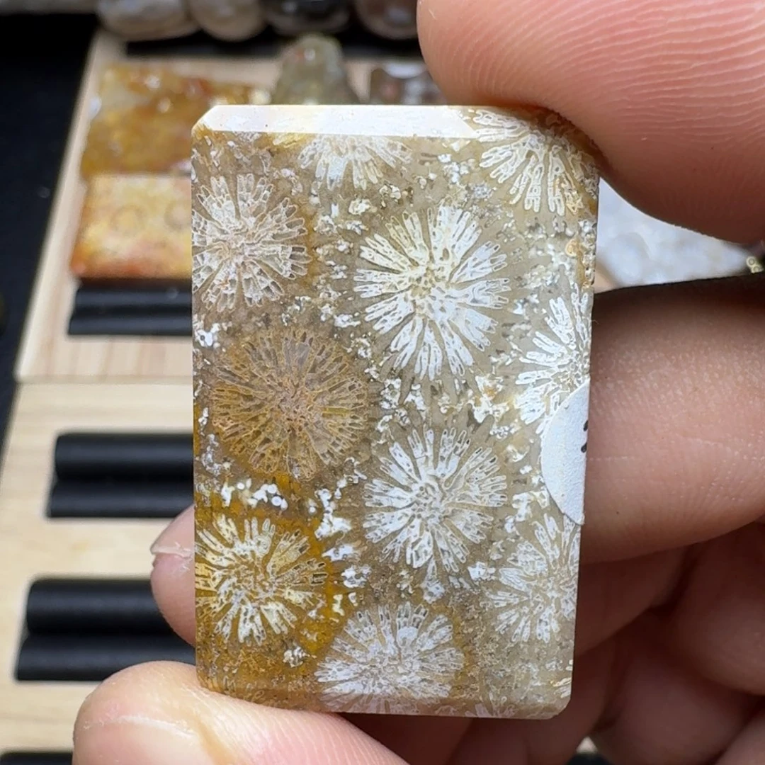 未镶嵌纯天然色有机玉石保真色硅化玉