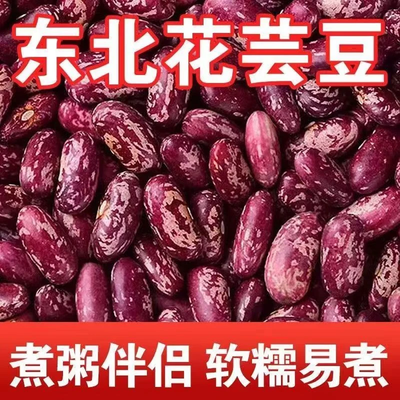 花芸豆豆米红花芸豆东北大碴子粥红豆四季豆新鲜花豆东北大芸豆