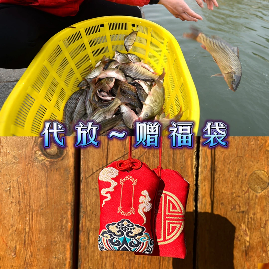 岱放-渔児- 遂愿喈缘萫包