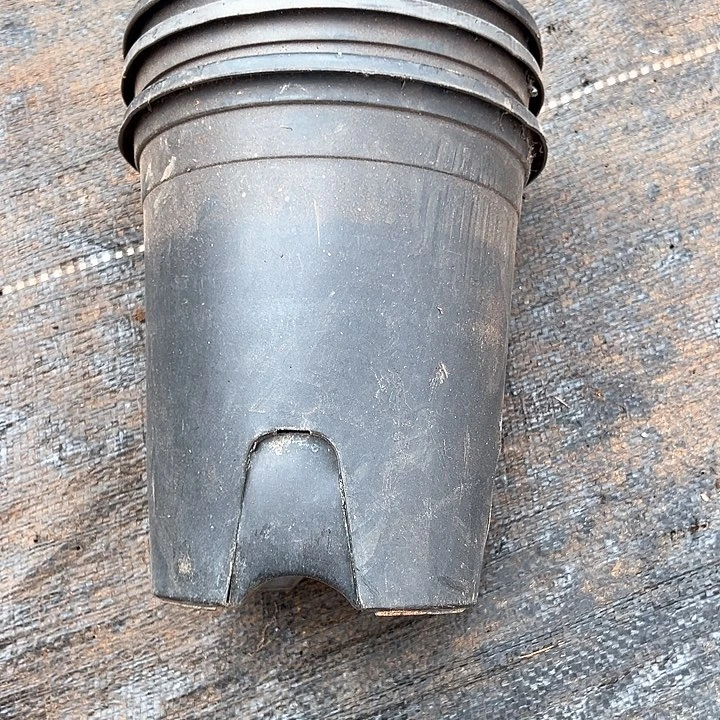 塑料口径15.5 高度17 一组15个