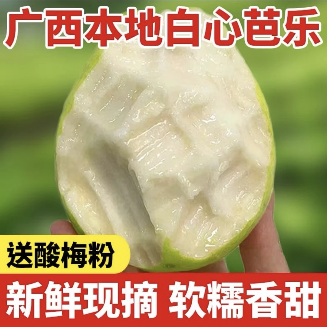 广西正宗奶油白心芭乐3/5斤脆甜软糯香甜低糖低卡水果产地直发