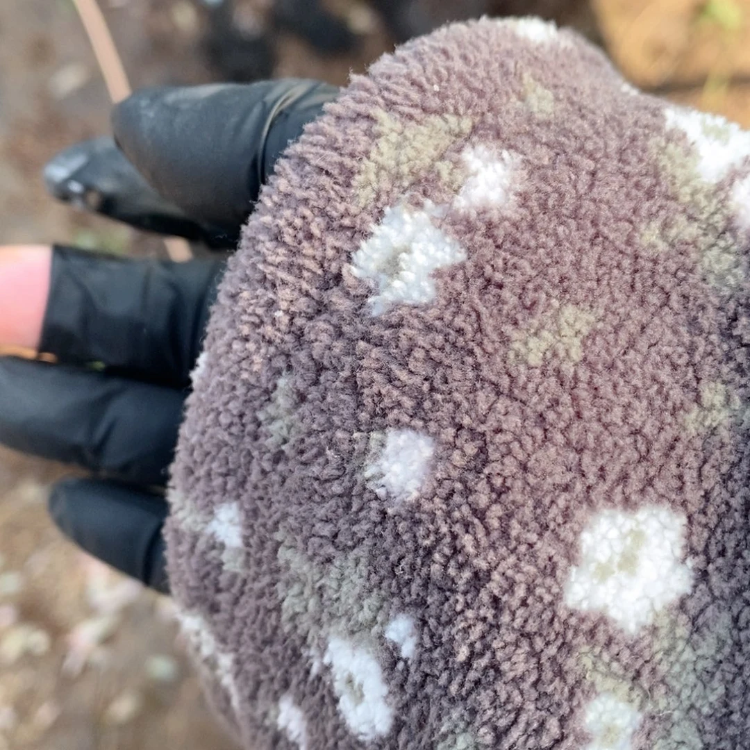 不***务粉兔缀哇哇哇哇哇