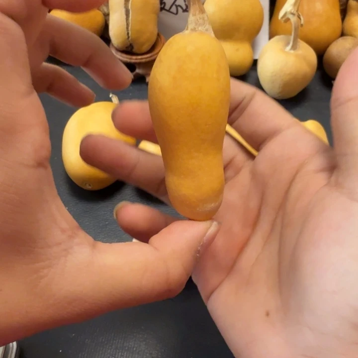 一***布888……………………………………