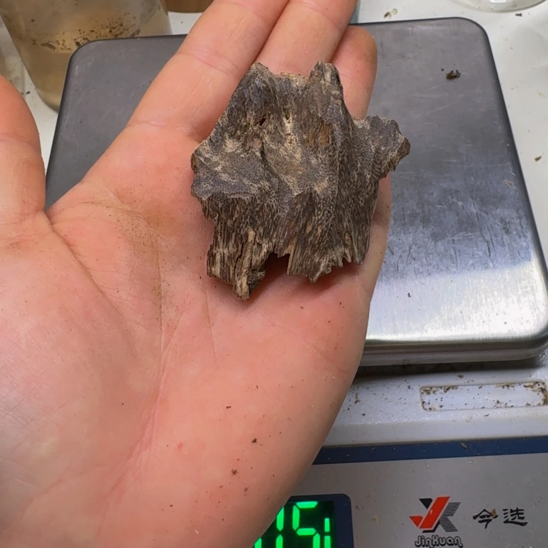 沉香碎屑沉香大*爹国香壳子料3.5克