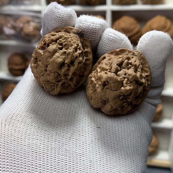 核桃37尺小爆米花12号