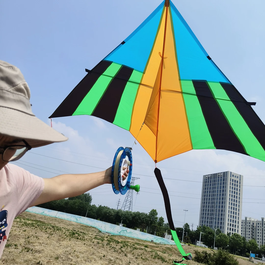 成人专用三角大型微风易飞高档鸿雁潍坊风筝