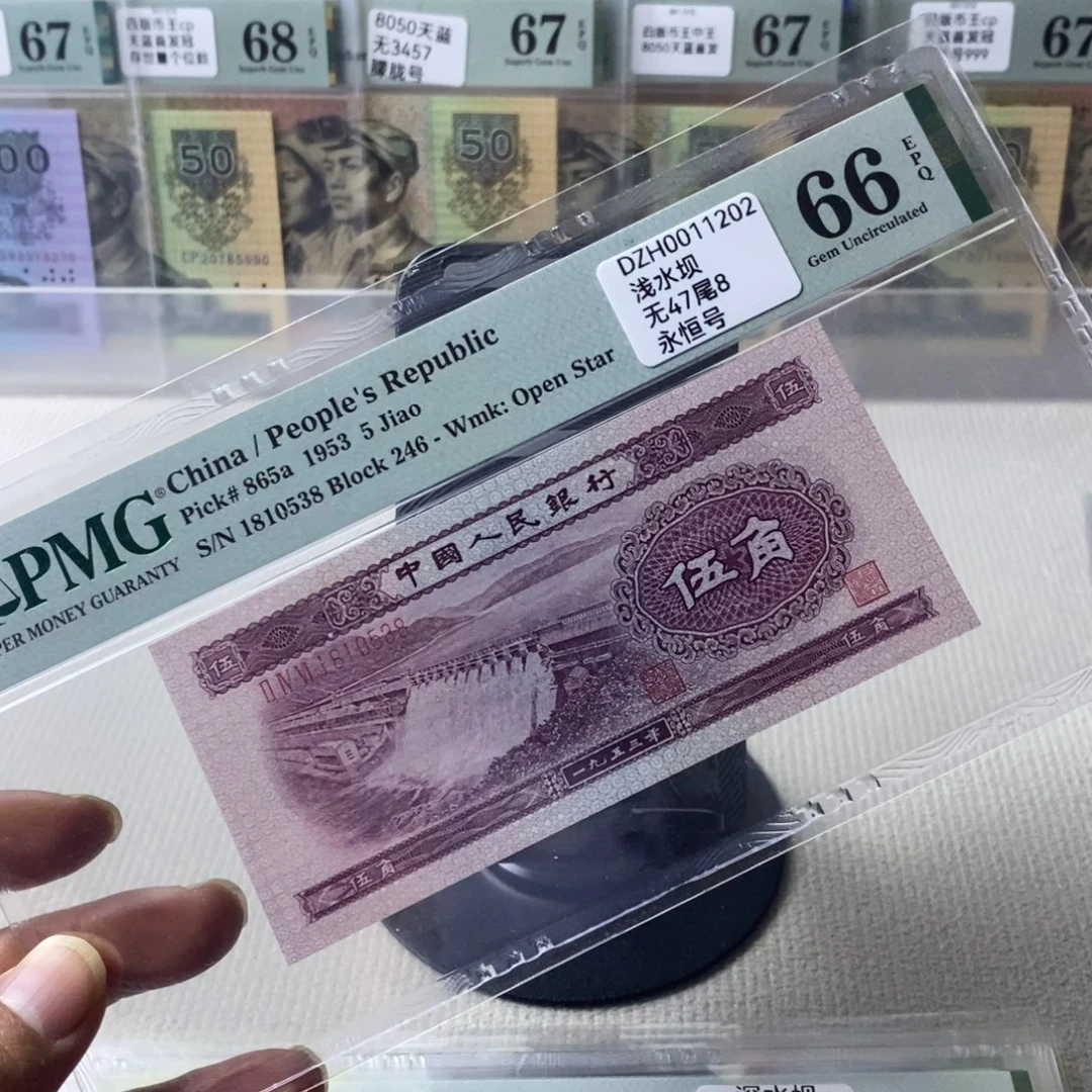 浅水坝66分无47尾8