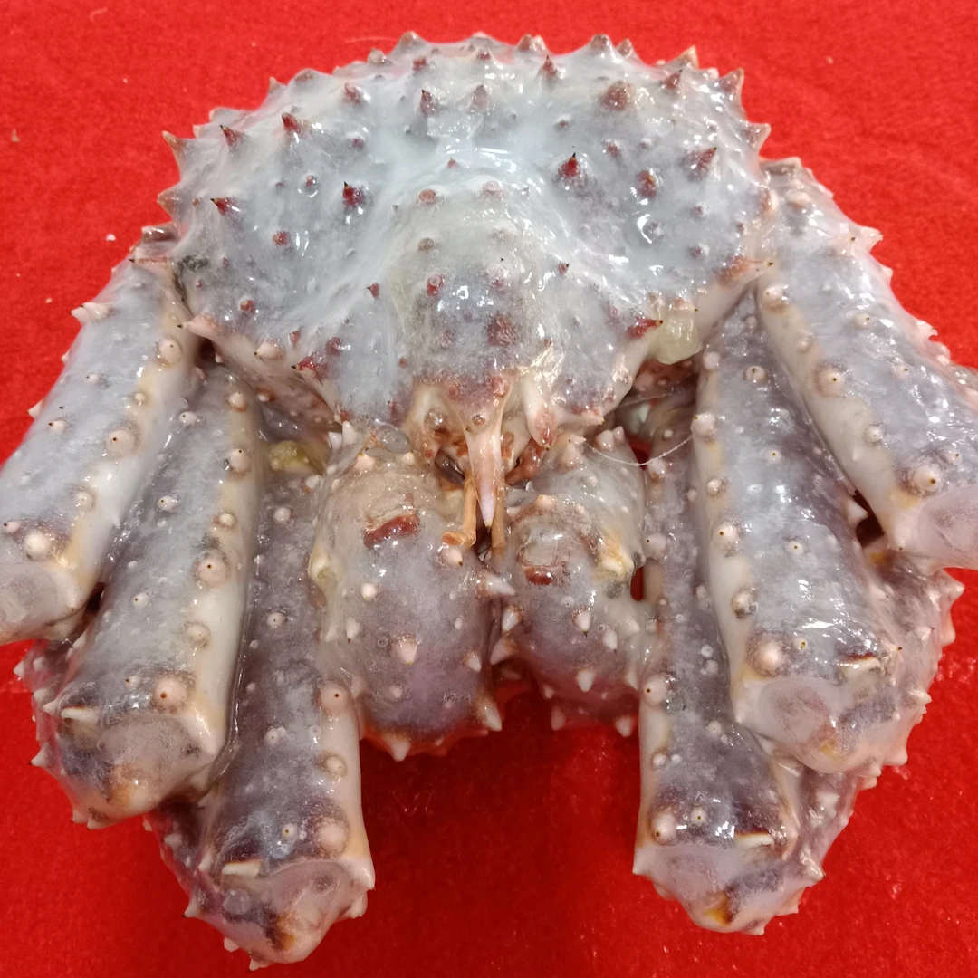 冷冻帝王蟹150元一个