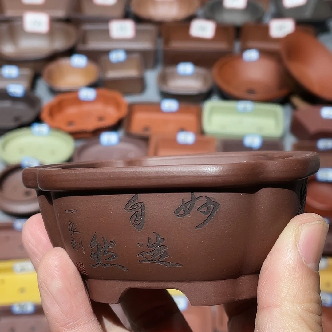 紫砂紫砂小盆8*3