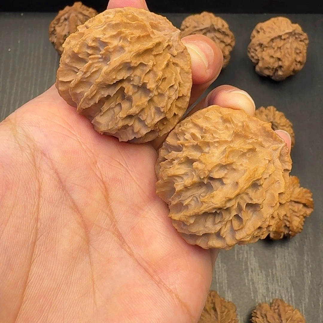 核桃突突突突突突突突突