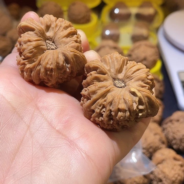 东***渡桃核吊坠南疆石……