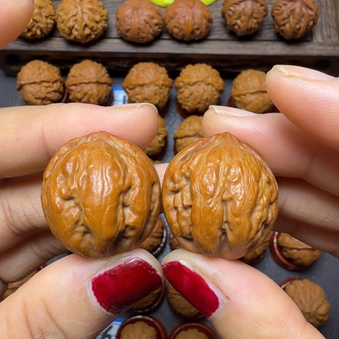 文玩核桃把件27尺霸王龙016