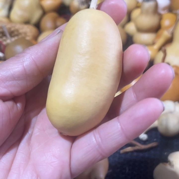 豆***川葫芦葫哈哈哈哈哈哈哈哈
