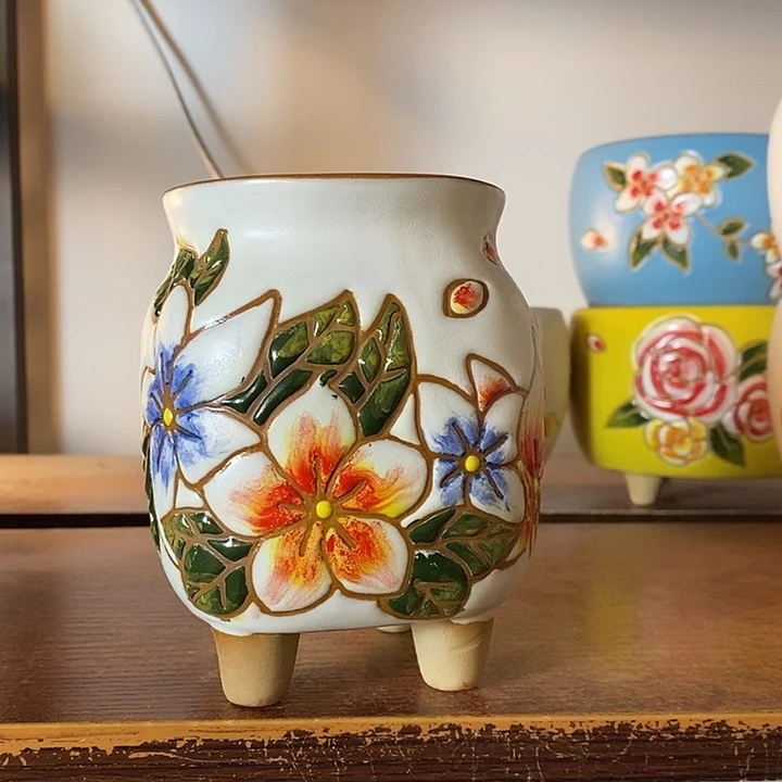 韩式多肉植物花盆