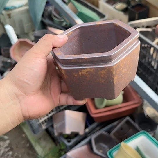 是一个集休闲农业的休闲胜地以及现代生活