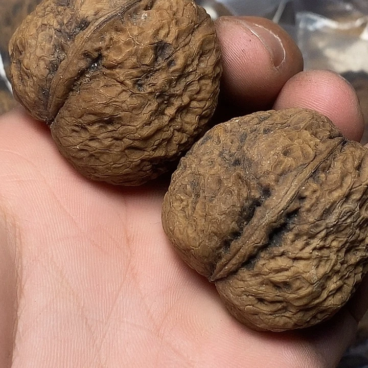 文玩核桃把件云南铁核桃B9