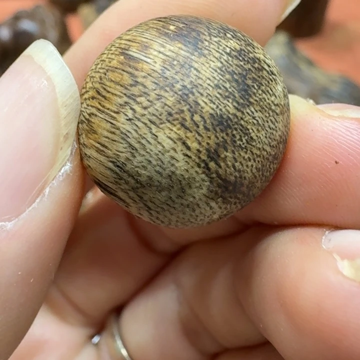 大叶紫檀（黑酸枝木类）