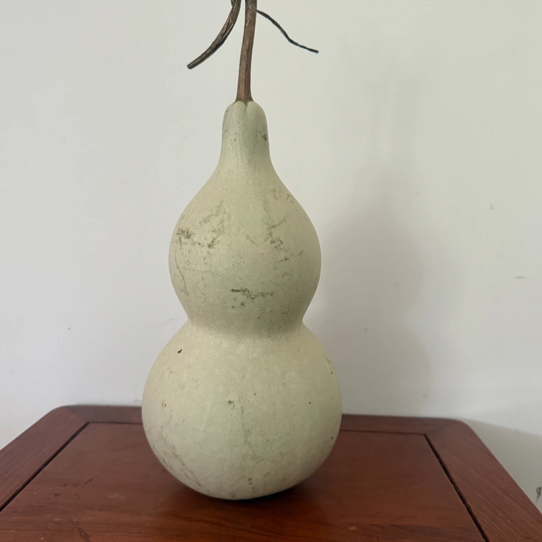 天然青皮葫芦新品,运输过程不保龙头