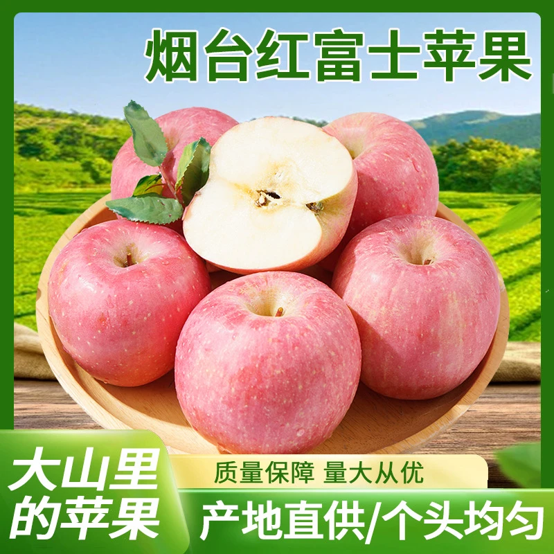 正宗山东红富士苹果3斤/5斤/9斤多汁肉厚烟台栖霞香甜/脆甜苹果