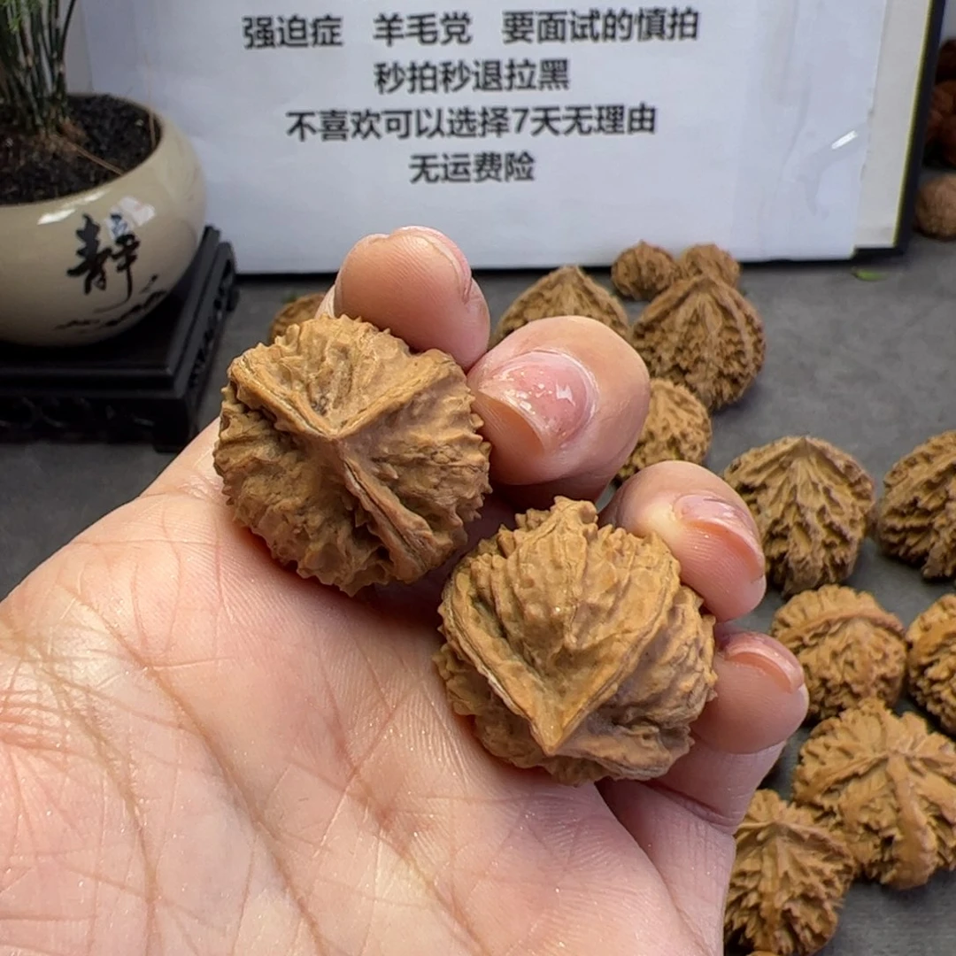 文玩核桃把件秦岭植物核桃