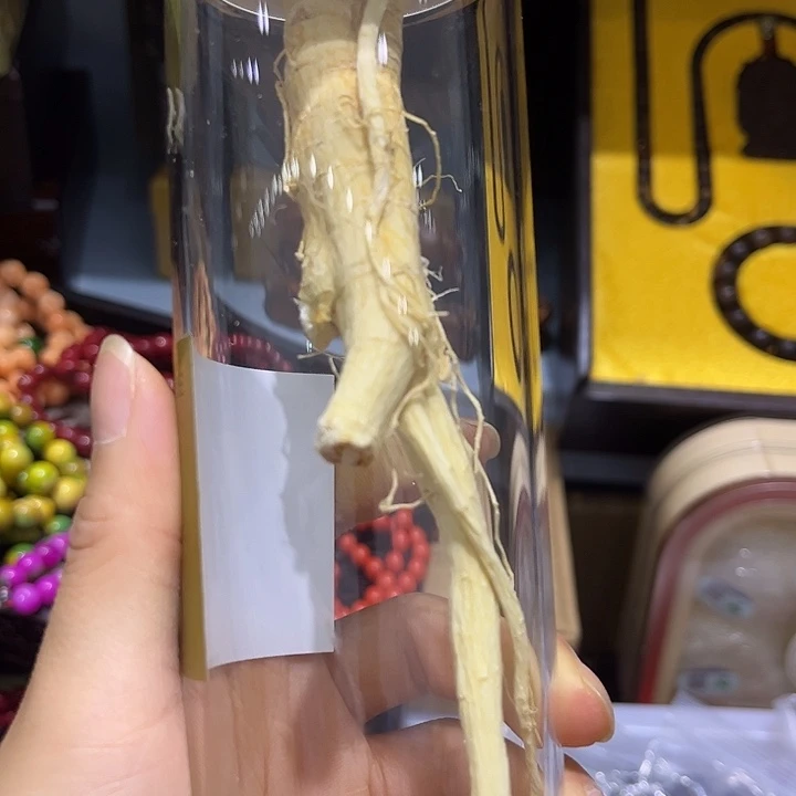 紫砂啦啦啦啦啦啦啦啦