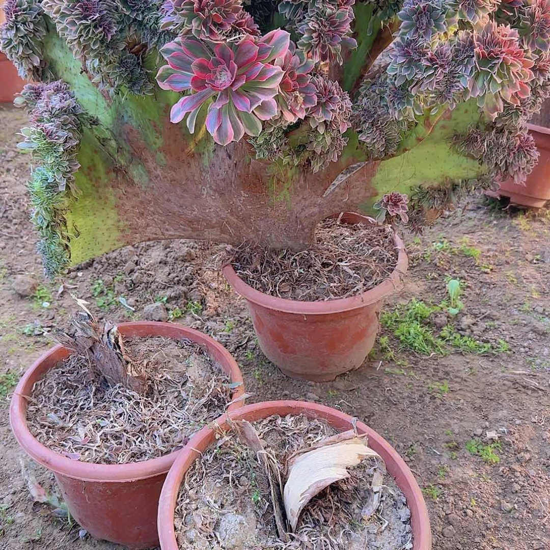 漳****提换缀话吞吐发货缀话