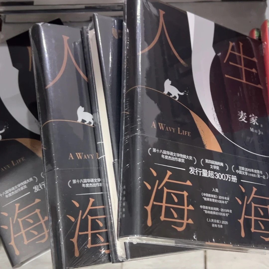 人生海海精装一个