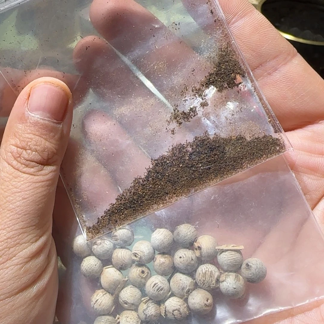 【闪购商品】沉香沉香碎屑沉香碎粒粉2袋