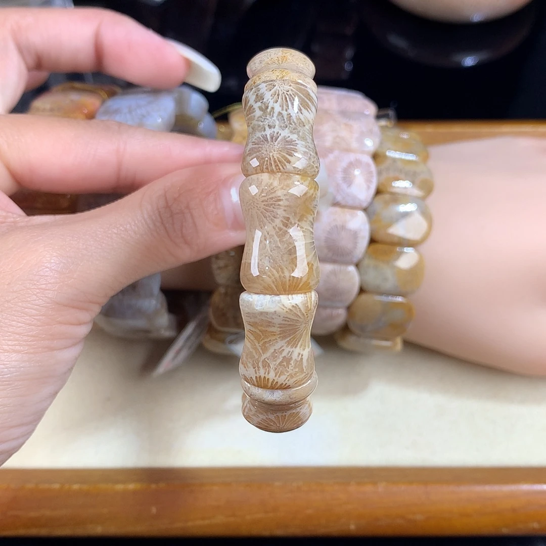 吊坠(赠链)未镶嵌硅化珊瑚（珊瑚玉）16号手排