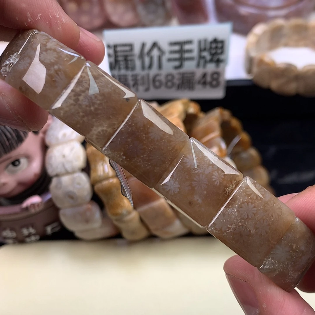 【闪购商品】颈饰未镶嵌硅化珊瑚（珊瑚玉）36号黑咖色雏菊花花绝啦