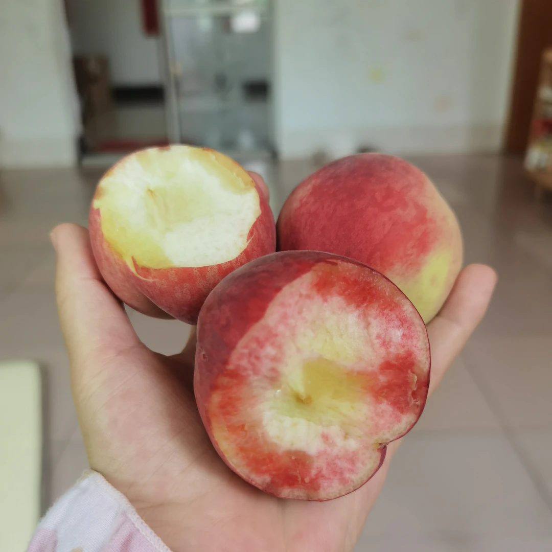 清脆可口湖南攸县新鲜采摘头茬高山白心毛桃非油桃应季孕妇水果