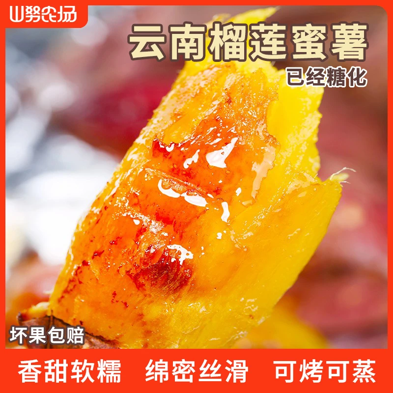 山努榴莲蜜薯云南高山沙地地瓜烤红薯香甜细腻软糯皮薄糖心流油