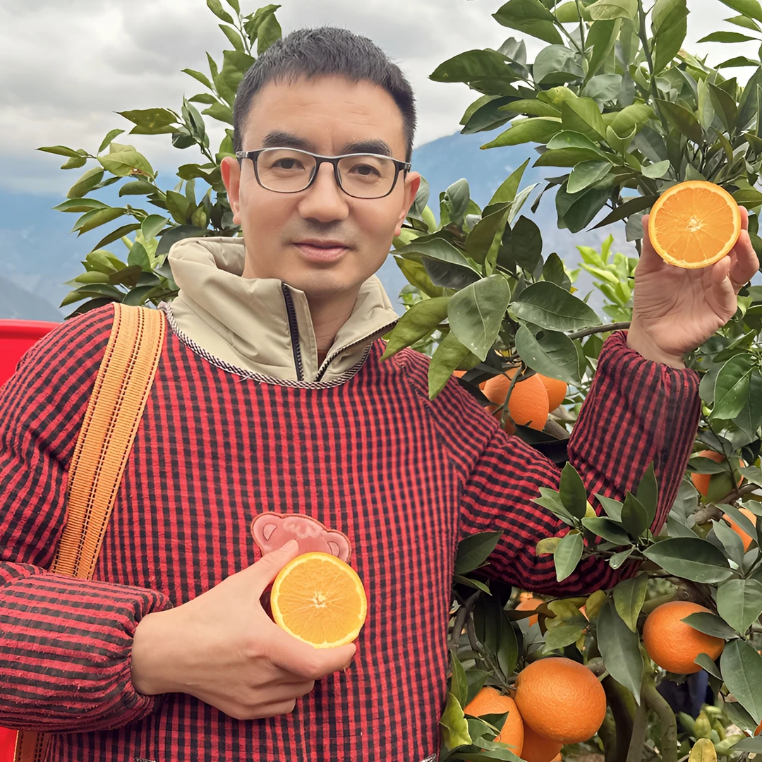 云南永善正宗纽荷尔脐橙新鲜现摘现发鲜甜细腻坏果包赔5/10斤包邮