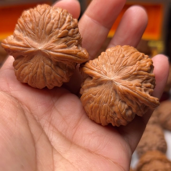 核桃41磨盘微歪磨盘