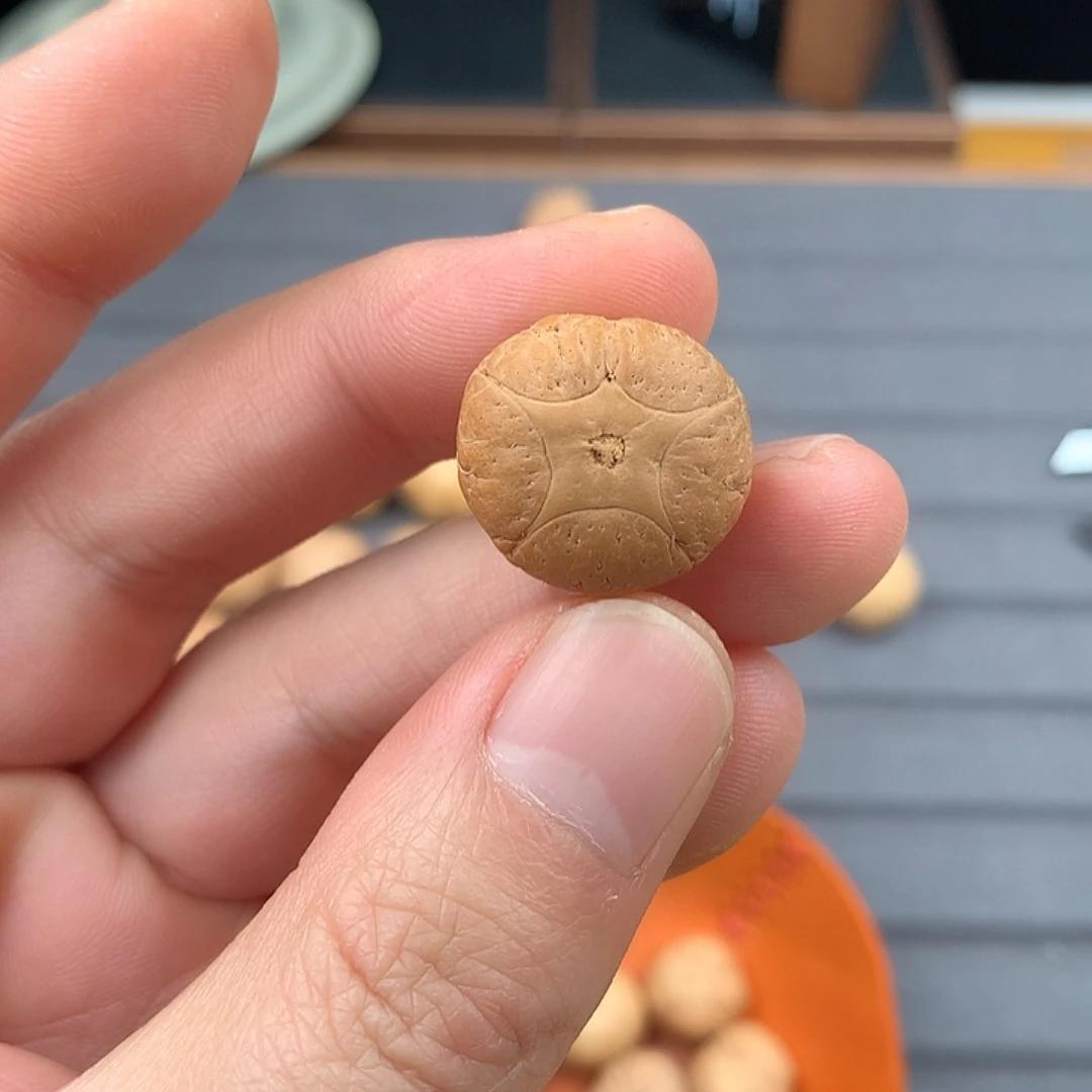 吊坠凤眼菩提20+五星，非质量问题开孔不退